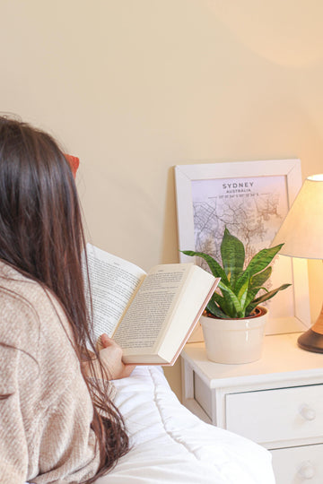 Digital Detox in January: Reclaiming Your Mental Space from Screen Overload